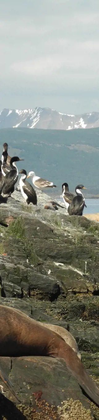 Bootstour auf dem Beagle-Kanal